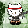 Combat Kitty