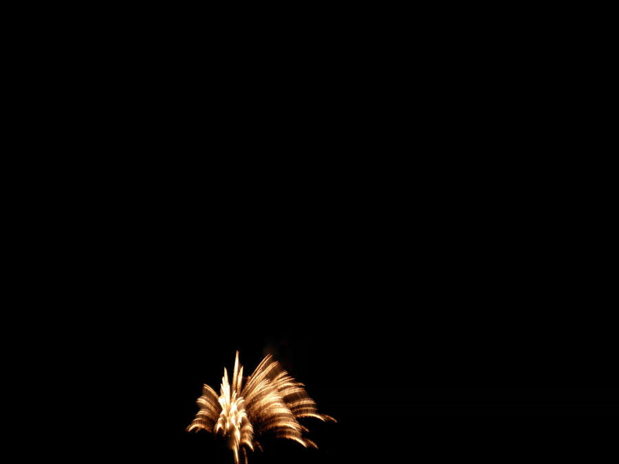 Photo 32 - Fireworks