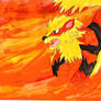 Arcanine