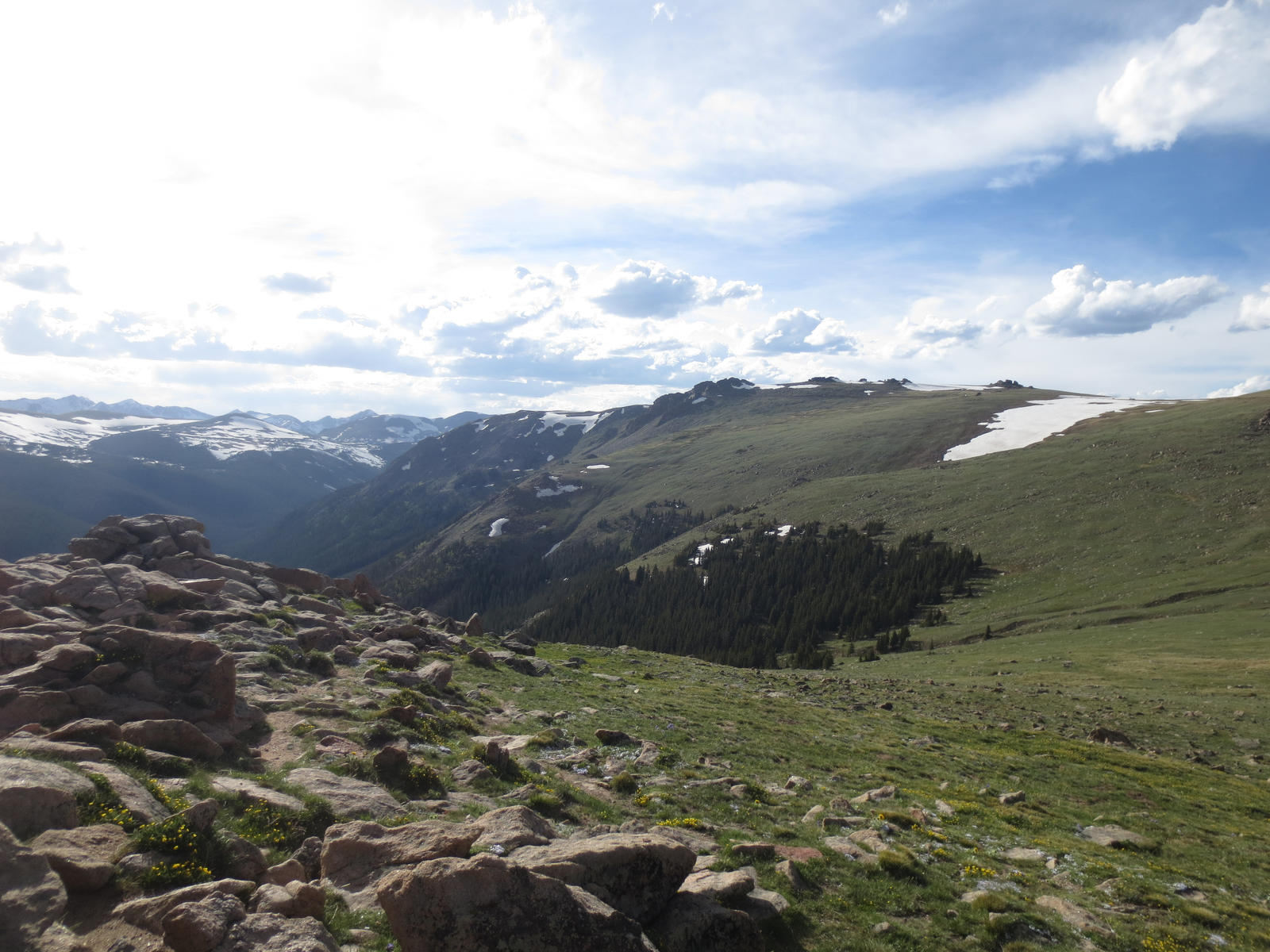 Trail Ridge Road CO 7-7-14 3