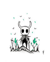 The Knight (Hollow Knight).