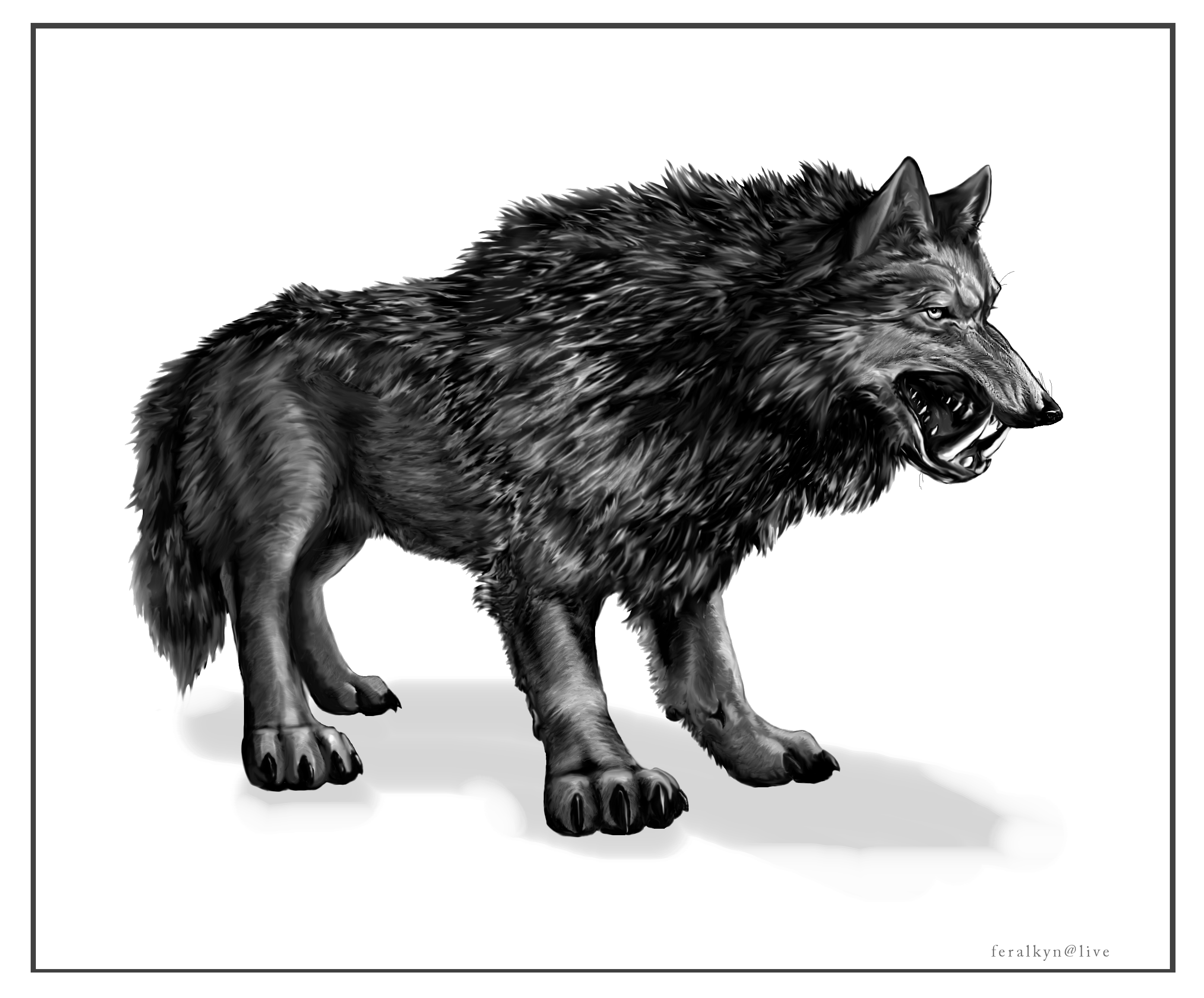 Dire Wolf