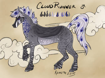Cloud Runner Reference Sheet