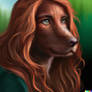 Irish Setter Transformation