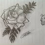 I drawed u a rose