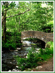 Water Under the Bridge