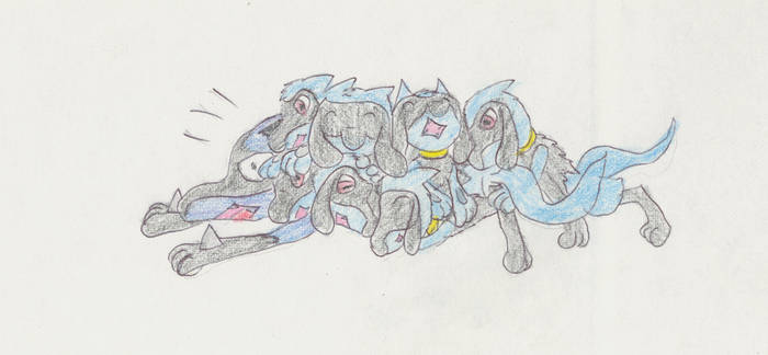 pile-o riolu