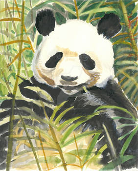 Bamboo Panda