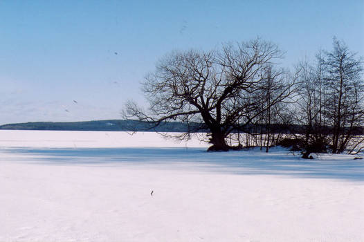 Lake Malaren