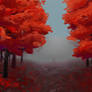 Scarlet leaves in the fog