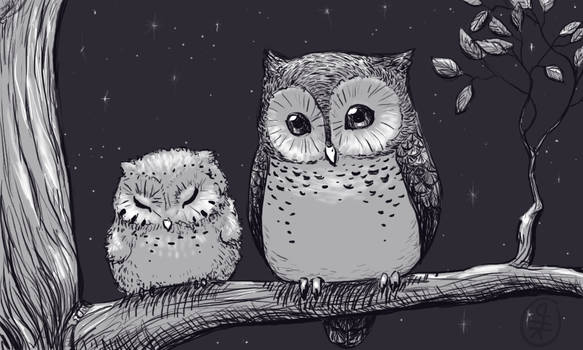 Owls