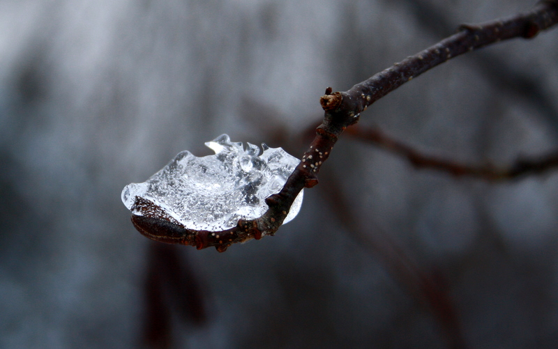 A spoon full of Ice