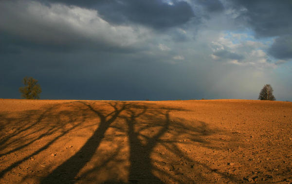 Sunset Shadow Protection sunset shadow by mmonart on DeviantArt