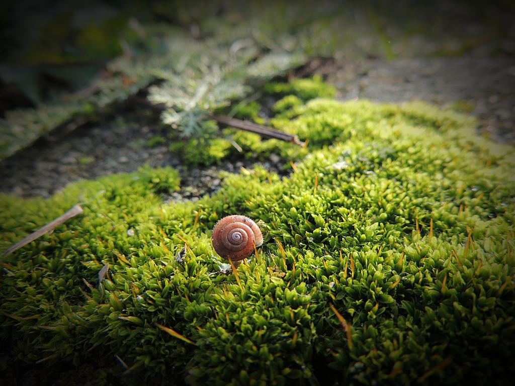 Mini Screw By Stock1 2 3 On DeviantArt