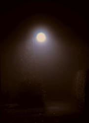 roads in the fog lamp