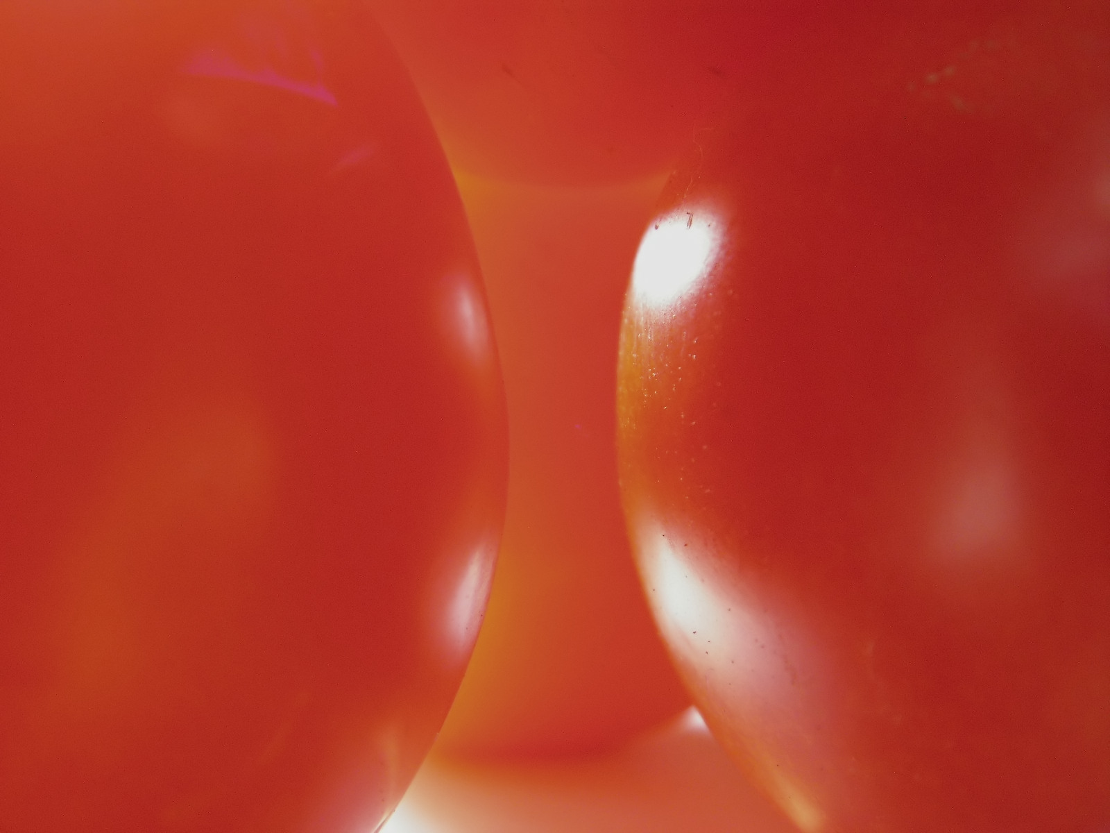 Tomatoes 2