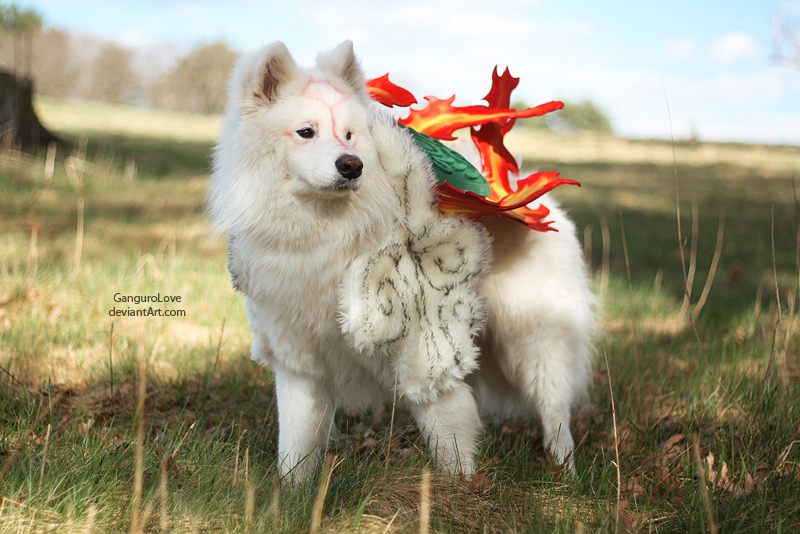 OKAMI : Amaterasu by EnchantedCupcake