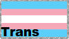 Transgender Pride Flag Stamp with text