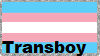 Transboy Transgender Pride Flag Stamp