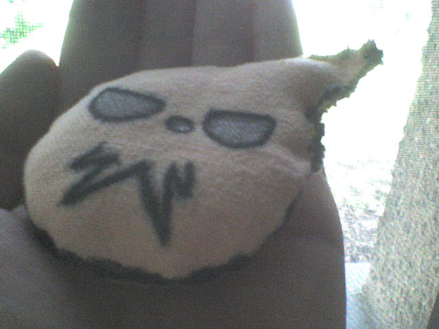 Soul Eater logo pillow 1 in my hand ^^