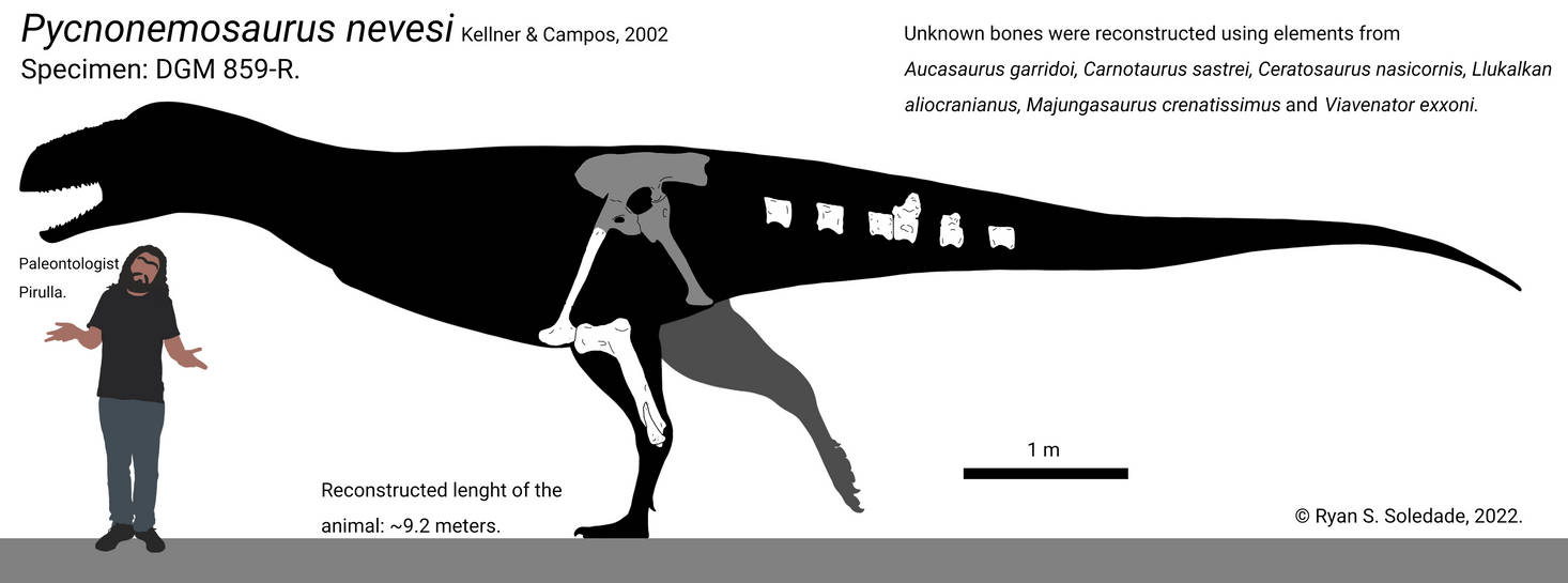 Pycnonemosaurus nevesi skeletal reconstruction by Paleogalli on DeviantArt