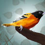 Oriole Bird Painting  by 1artpro