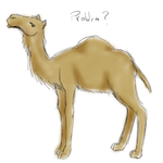 Camel [Sketch Request] by popolis