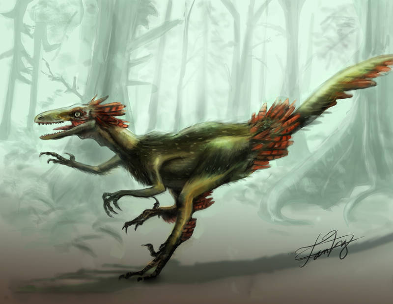 Feathered Troodon by FutureAesthetic