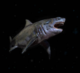 Deep Sea Megalodon