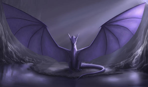 Purple dragon