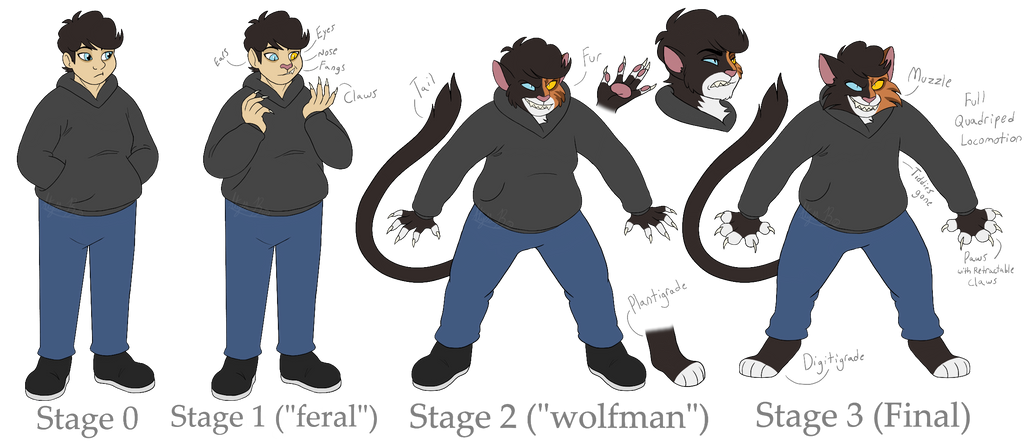 Transformation by PeregrineTheGryphon on DeviantArt