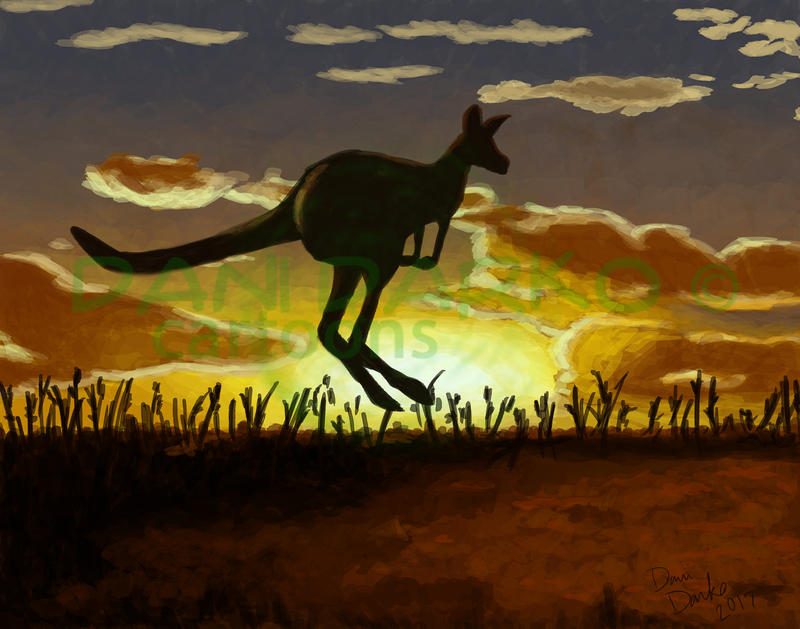 Kangaroo by danidarko96 on DeviantArt