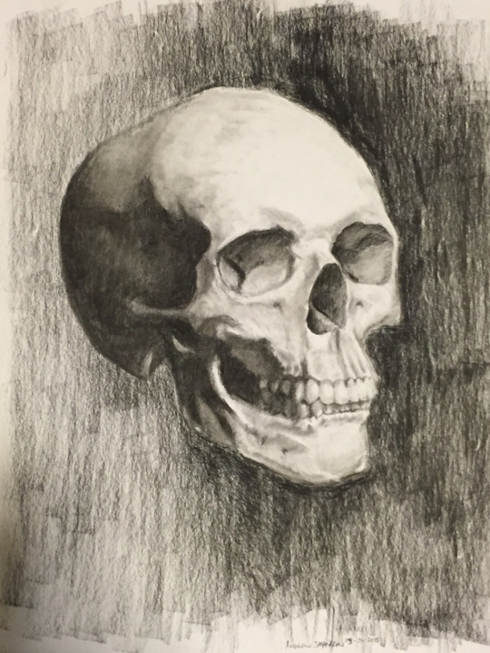 Refined Skull Drawing