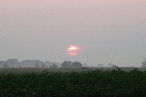 An Arkansas Morning