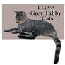 I Love Grey Tabby Cats