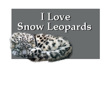 I Love Snow Leopards