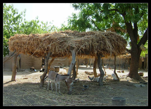 a straw loft in Mali