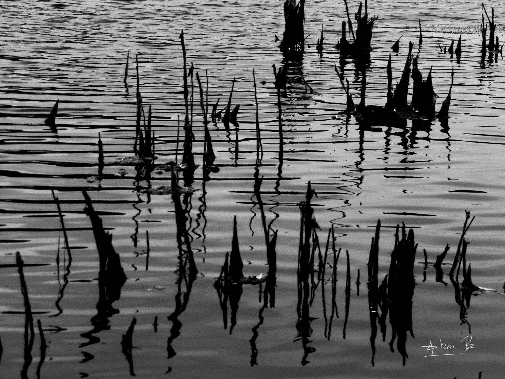 where's my water? by AbramBenoa on DeviantArt