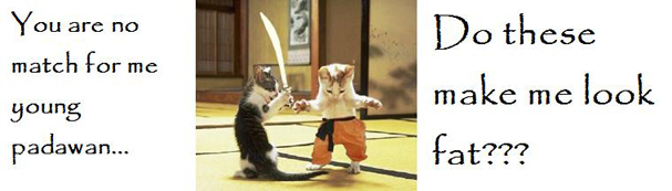 Funny cats sword fighting