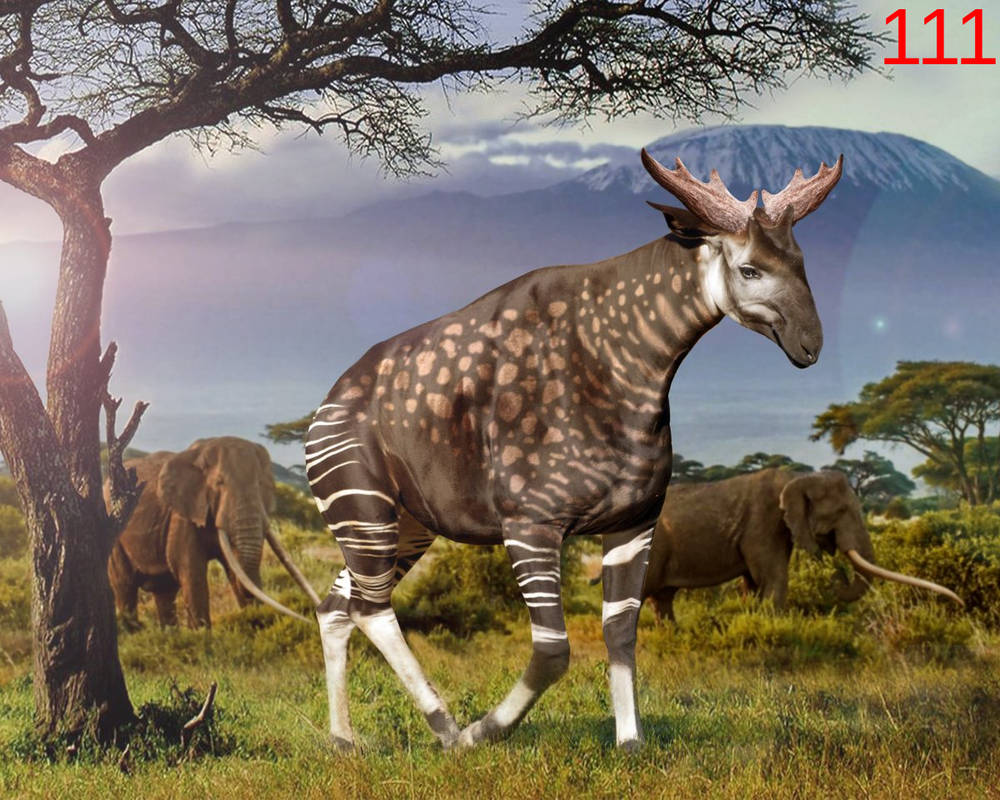 Objects Sivatherium By Lilkanyongmail On DeviantArt objects-sivatherium-by-lilkanyongmail-on-deviantart
