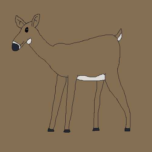 Doe Drawing by lilkanyongmail on DeviantArt