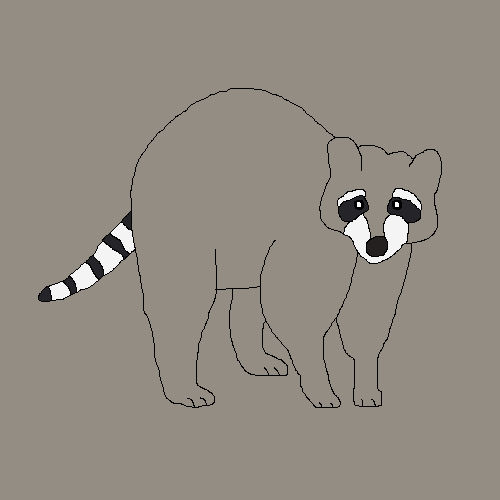 Raccoon Drawing by lilkanyongmail on DeviantArt