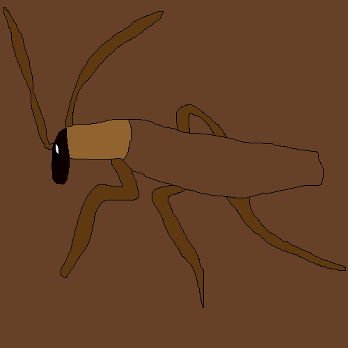 Giant Cockroach Drawing by lilkanyongmail on DeviantArt