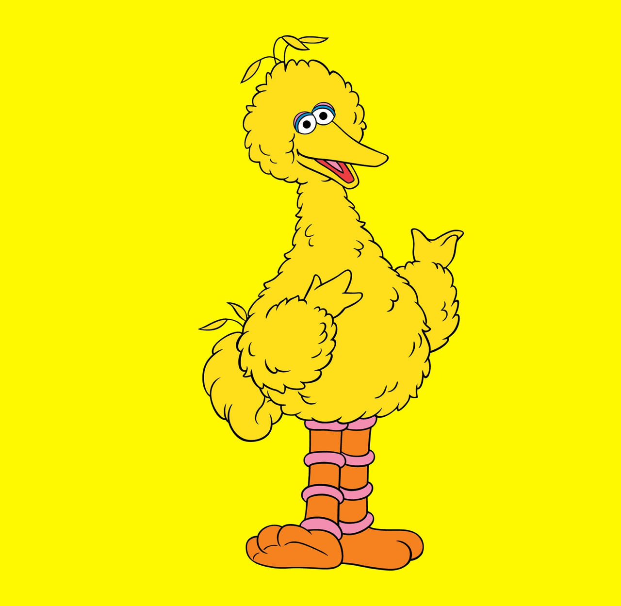 Fat Bird Animation Sesame Street Big Bird Cartoon