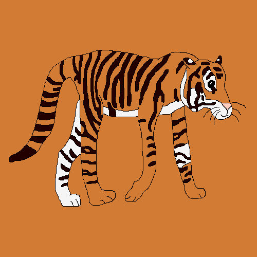 Javan Tiger Drawing by lilkanyongmail on DeviantArt