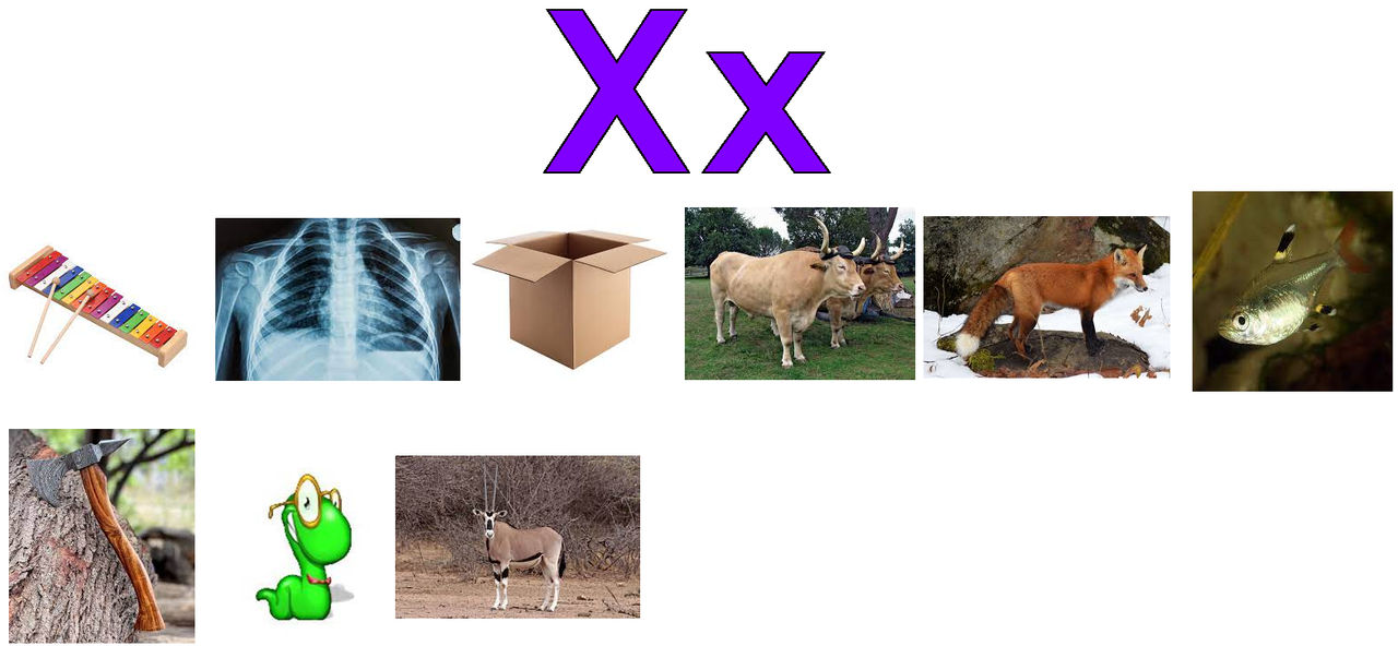 X Objects (my 2nd Version) by lilkanyongmail on DeviantArt