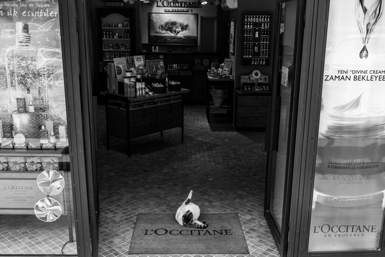 WELCOME TO L'OCCITANE