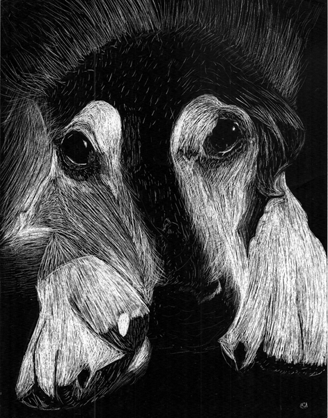 a scratch art dog by andefox3 on DeviantArt a scratch art dog by andefox3 on DeviantArt