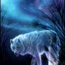 Aaru