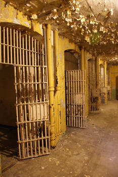 Death Row Decay